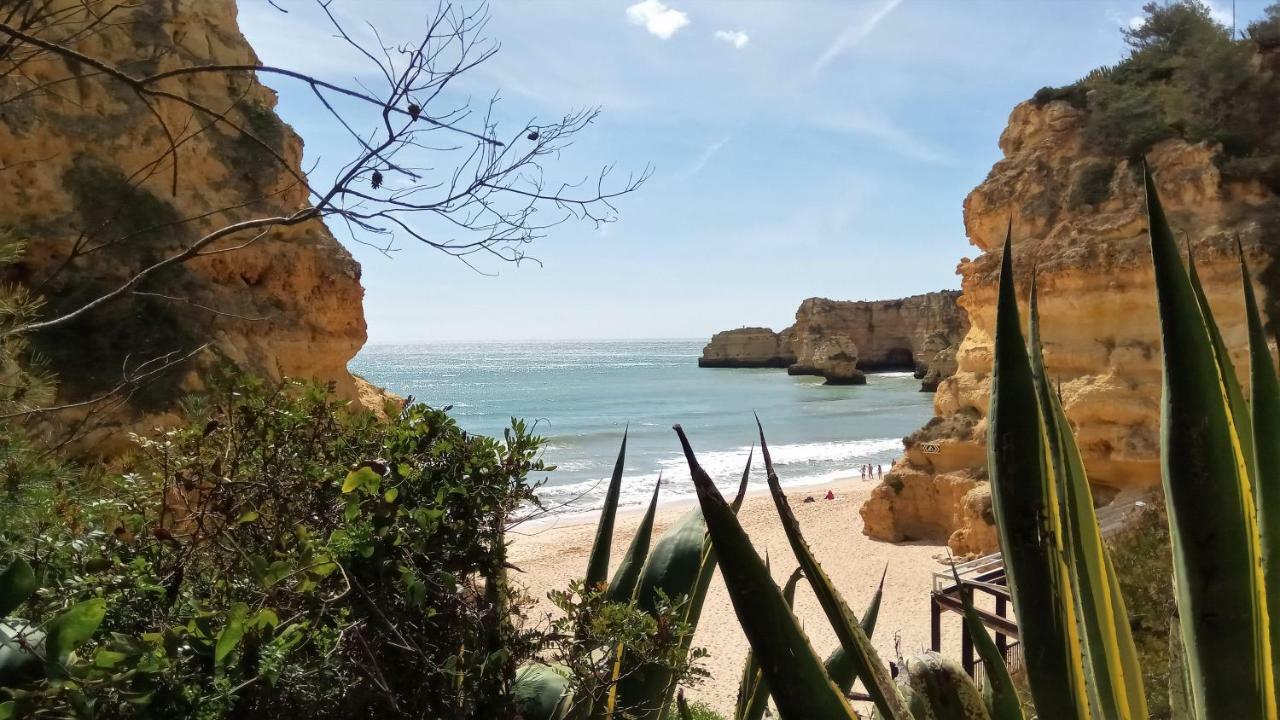 Apartment O Jardins Da Marina Albufeira